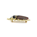 Rare Wonders 18K Iddingsite and Onyx Beetle Pin