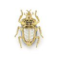 Rare Wonders 18K Gold Blue Chalcedony and Onyx Goliath Beetle Pin