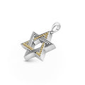 Anthem Large Two-Tone Star of David Amulet