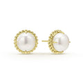 Luna 18K Gold Pearl Stud Earrings (Studio)