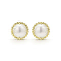 Luna 18K Gold Pearl Stud Earrings (Studio)