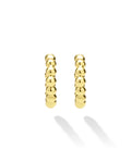 Pair of gold hoop earrings on a white background