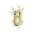 Rare Wonders 18K Gold Lemon Quartz and Onyx Stag Beetle Pin