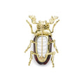 Rare Wonders 18K Iddingsite and Onyx Beetle Pin