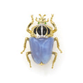 Rare Wonders 18K Gold Blue Chalcedony and Onyx Goliath Beetle Pin