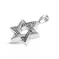 Anthem Medium Silver Star of David Amulet
