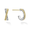 Two-Tone Huggie Earring Gift Set